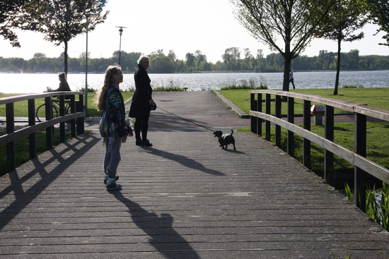 Politiek stelt vragen over afsluiting paden in Kralingse Bos