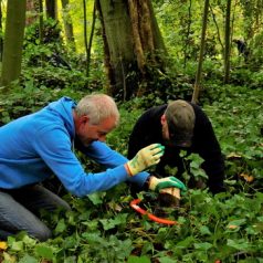 Natuurwerkdag in Kralingse Bos