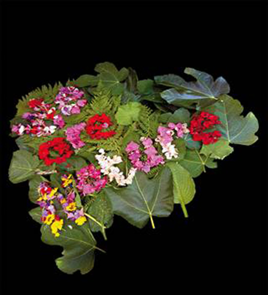 Hartelijk welkom bij “we are nature”