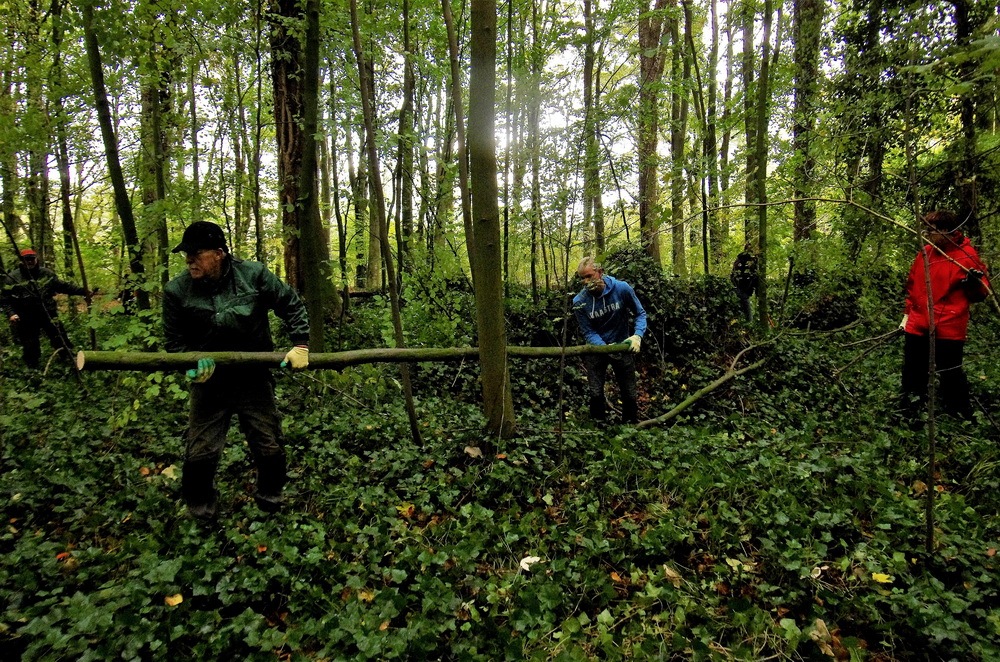 Dit is het moment! (om het Kralingse Bos te redden)