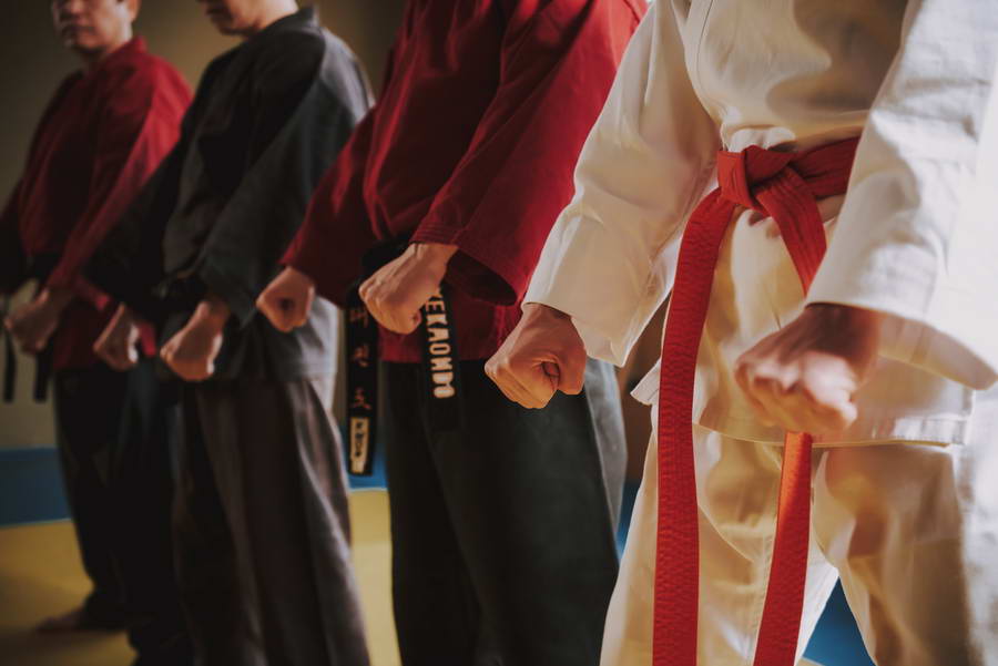 Karateka-legende Loek Hollander overleden