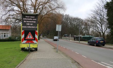 Kralingse Bos weer grotendeels open