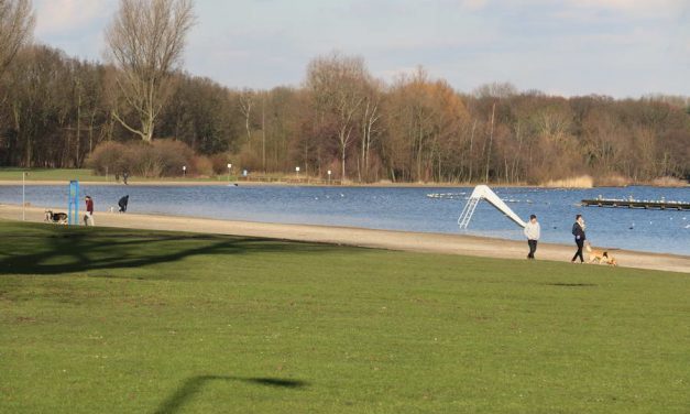 Natuurgebieden vol, Kralingse Bos en Broekpolder afgesloten voor auto’s