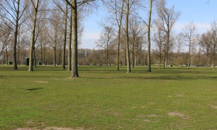 Wandelaar schrikt van bokkenpootjes uit afvalcontainer in Kralingse Bos