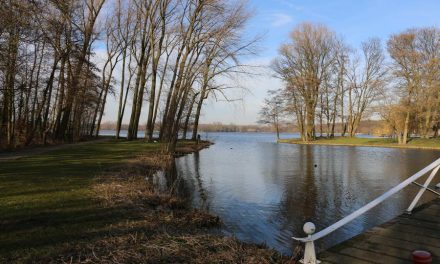 Kralingse Bos afgesloten door storm