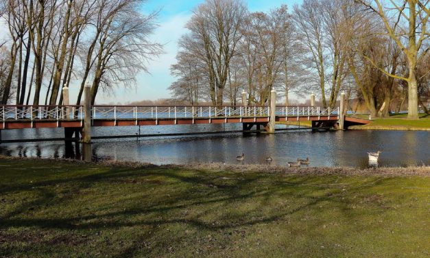 Klei als middel tegen blauwalg in de Kralingse Plas