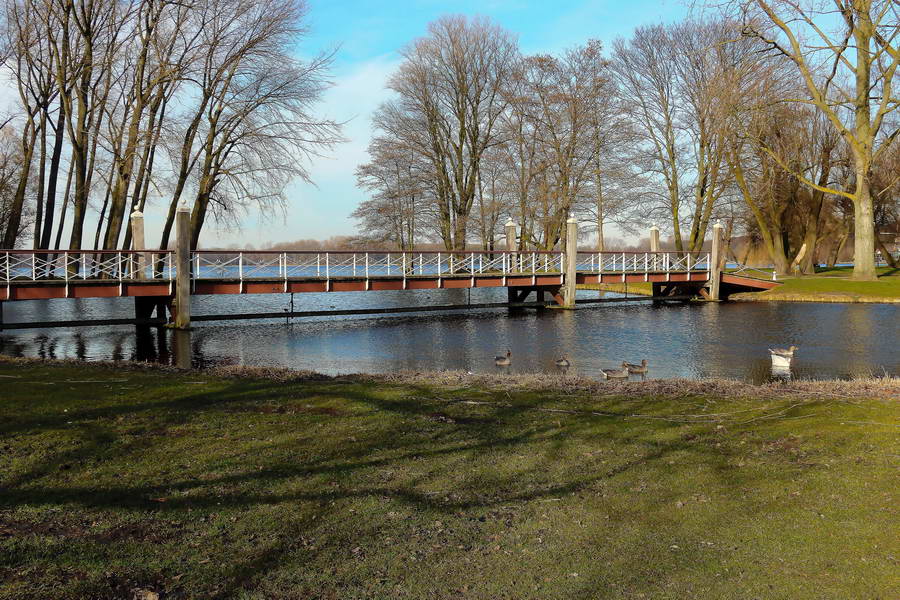 Klei als middel tegen blauwalg in de Kralingse Plas