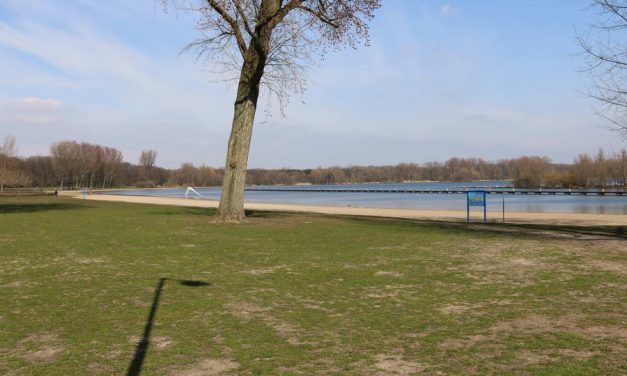 Werkzaamheden strand Kralingse Plas