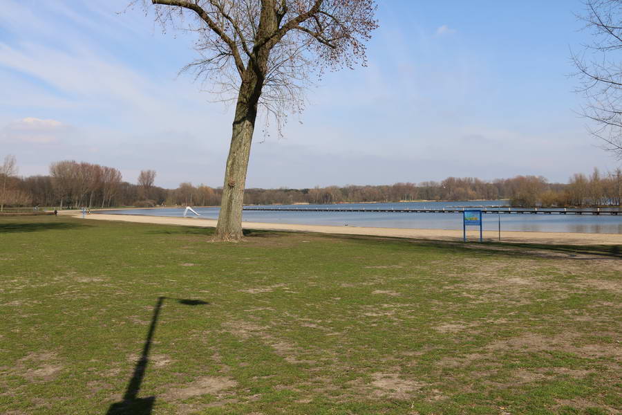Blauwalg in Kralingse Plas en Bergse Plassen