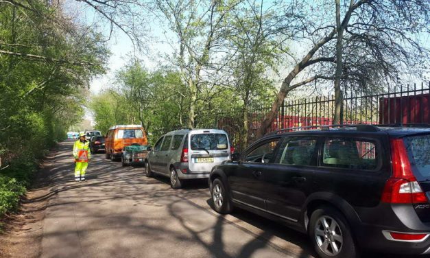Maatregelen tegen drukte milieuparken