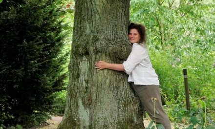 Botanische tuin Kralingen weer open!