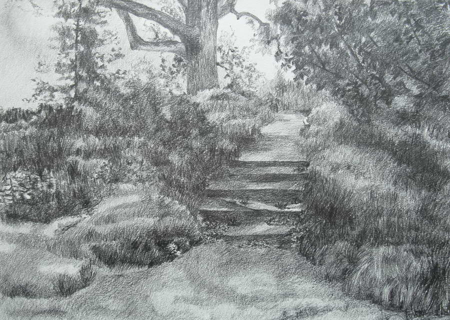 ‘STILLE PLEKKEN’  EEN TENTOONSTELLING IN  TROMPENBURG TUINEN & ARBORETUM