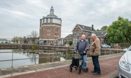 Wijksteun werkt heel erg goed, help je mee?