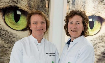 Dierenkliniek Kralingen bestaat 20 jaar