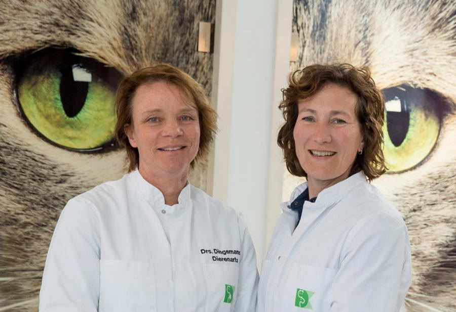 Dierenkliniek Kralingen bestaat 20 jaar