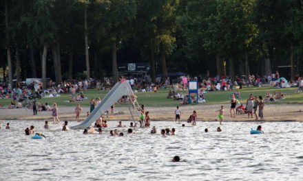 Warmweerprotocol in Kralingse Bos met warme zomerweek op komst