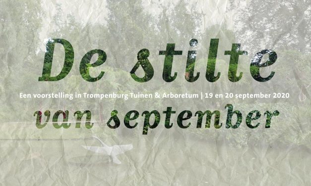De stilte van september – Een voorstelling in Trompenburg Tuinen & Arboretum