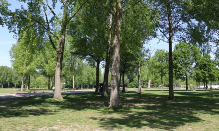 Al vier jaar trekt vrijwilliger Richard wekelijks met grijper en vuilniszak door het Kralingse Bos
