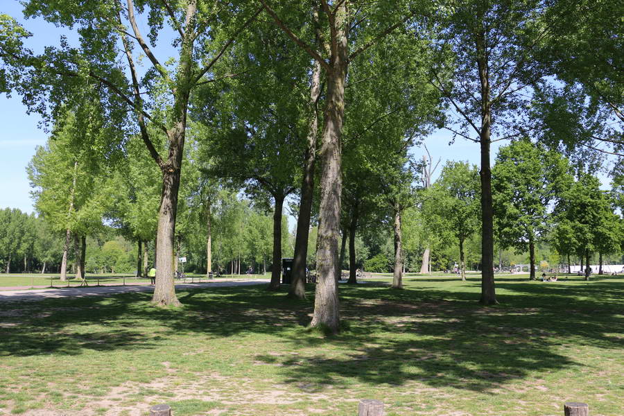 Al vier jaar trekt vrijwilliger Richard wekelijks met grijper en vuilniszak door het Kralingse Bos