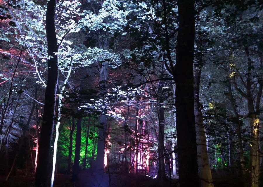 Lichtshow De Grote Schijn komt terug naar het Kralingse Bos