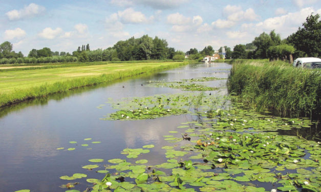 Waterwerken: onze medewerkers controleren de sloten vanaf half oktober