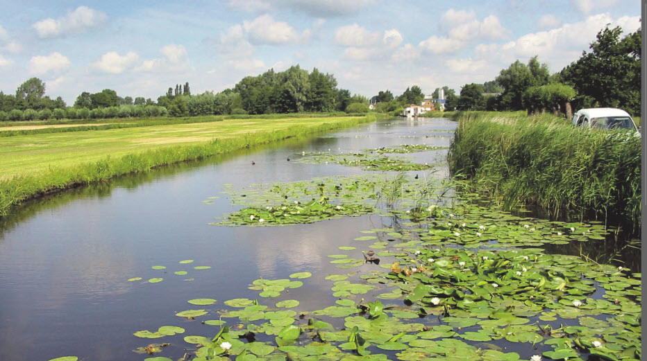 Waterwerken: onze medewerkers controleren de sloten vanaf half oktober