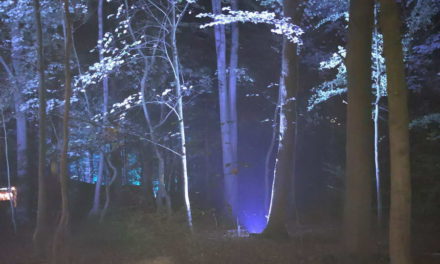 Lichtshow De Grote Schijn in Kralingse Bos gaat niet door
