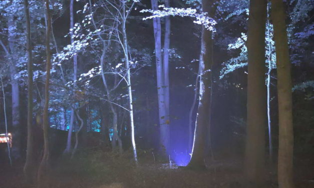 Lichtshow De Grote Schijn in Kralingse Bos gaat niet door