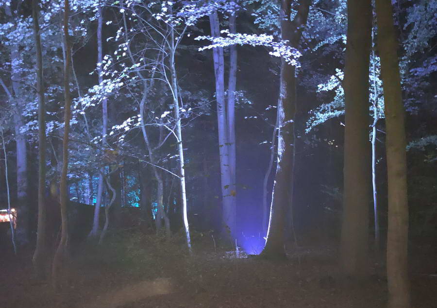 Lichtshow De Grote Schijn in Kralingse Bos gaat niet door