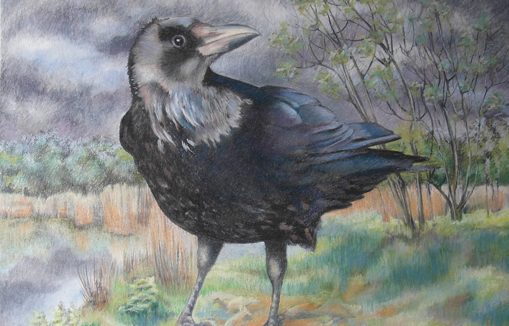 ‘Herfst’ een tentoonstelling in Trompenburg tuinen & arboretum