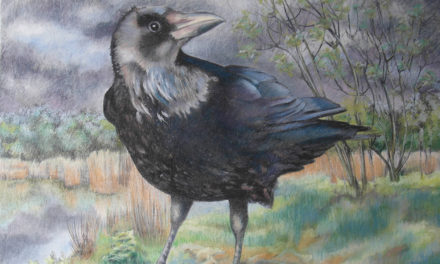‘Herfst’ een tentoonstelling in Trompenburg tuinen & arboretum