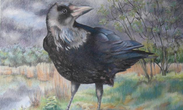 ‘Herfst’ een tentoonstelling in Trompenburg tuinen & arboretum