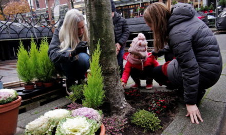 De groene vingers van Chloë en Jules