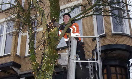 Lichtpuntjes in donkere tijden
