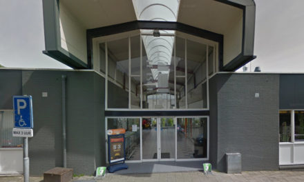 De jongens en meisjes van supermarkt Plus