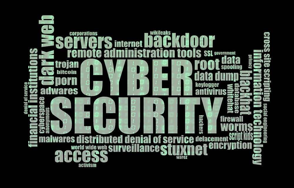 Privacy en Cyber Security in Nederland