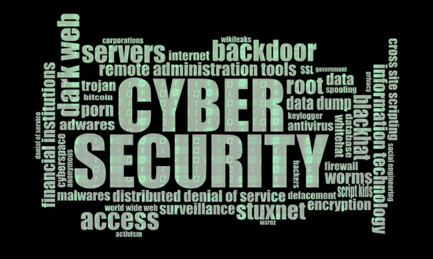 Privacy en Cyber Security in Nederland