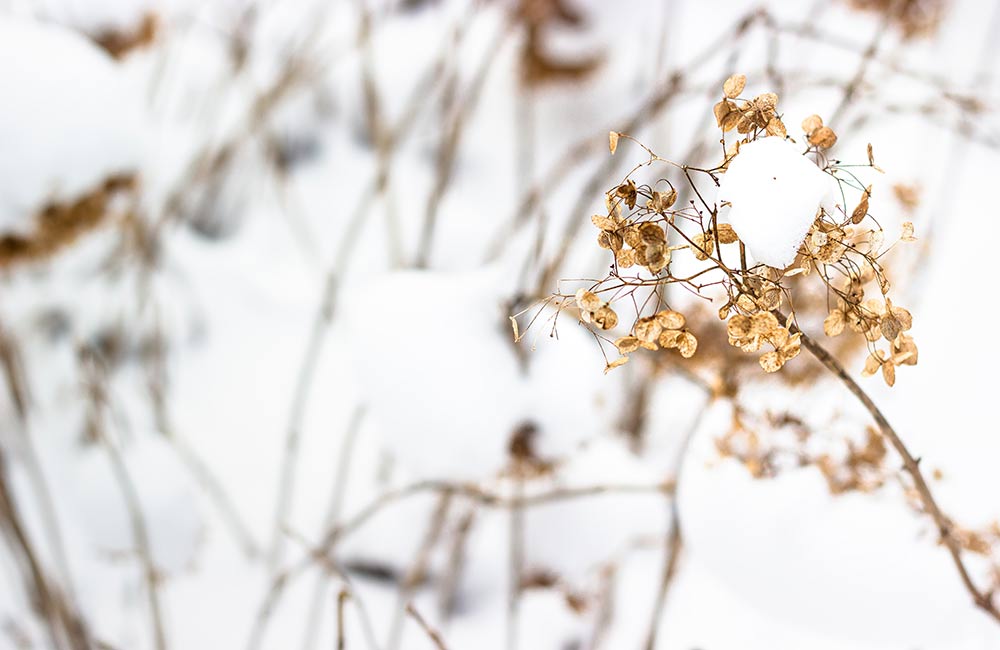 Drukte in Kralingse Bos ondanks coronamaatregelen