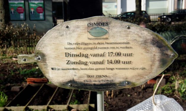 Permacultuur aan de Plantageweg