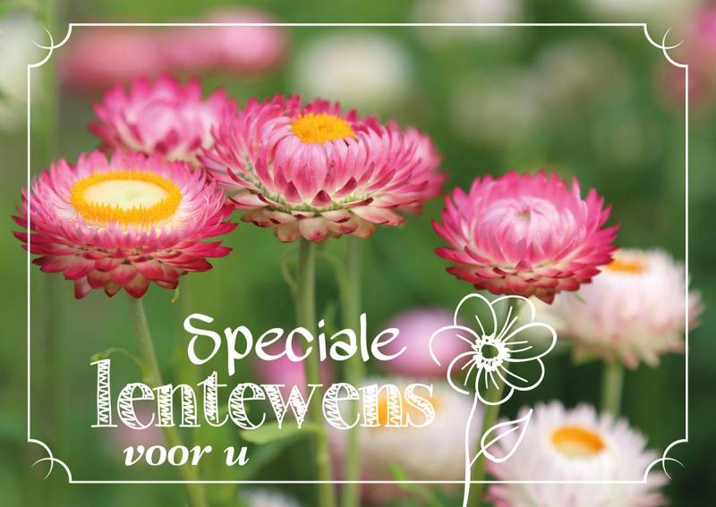 Lelie zorggroep zet bewoners in de bloemetjes met ludieke lenteactie