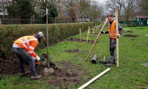 Rotterdam 120 voedselbomen en -struiken rijker