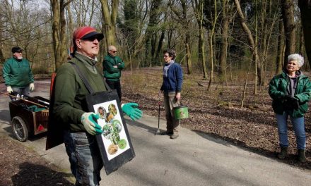 Wat je aantrekt in het Kralingse Bos?