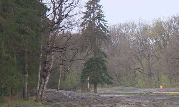 Over de metamorfose van de Wolvenvallei