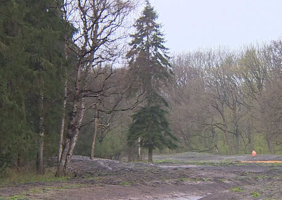 Wolvenvallei Kralingse Bos maakt ruimte voor meer natuur met nieuwe ‘riviertjes’
