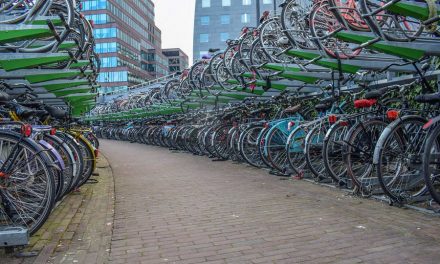 Overdekte fietsenstalling Kralingse Zoom