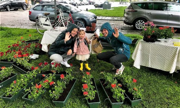 Geen tuinaarde maar potgrond