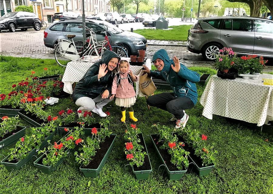 Geen tuinaarde maar potgrond