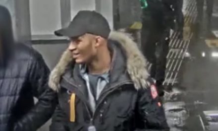 Mutsendief op metrostation Nieuw Verlaat