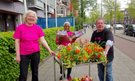 Serve the city in Kralingen