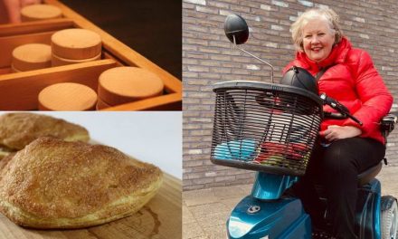 puzzeltocht IN PRINSENPARK